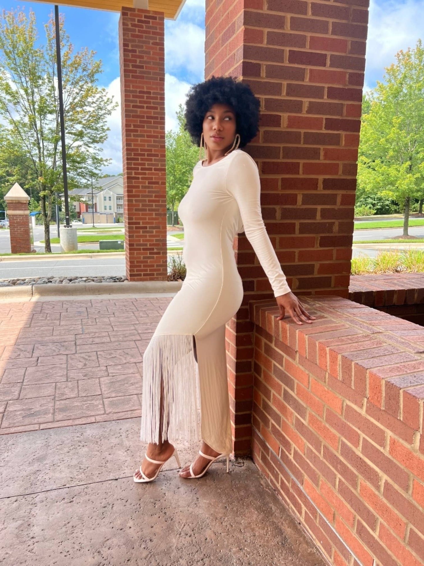 Zanobia Dress