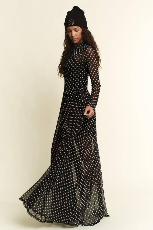 Polka Dot Mesh Dress